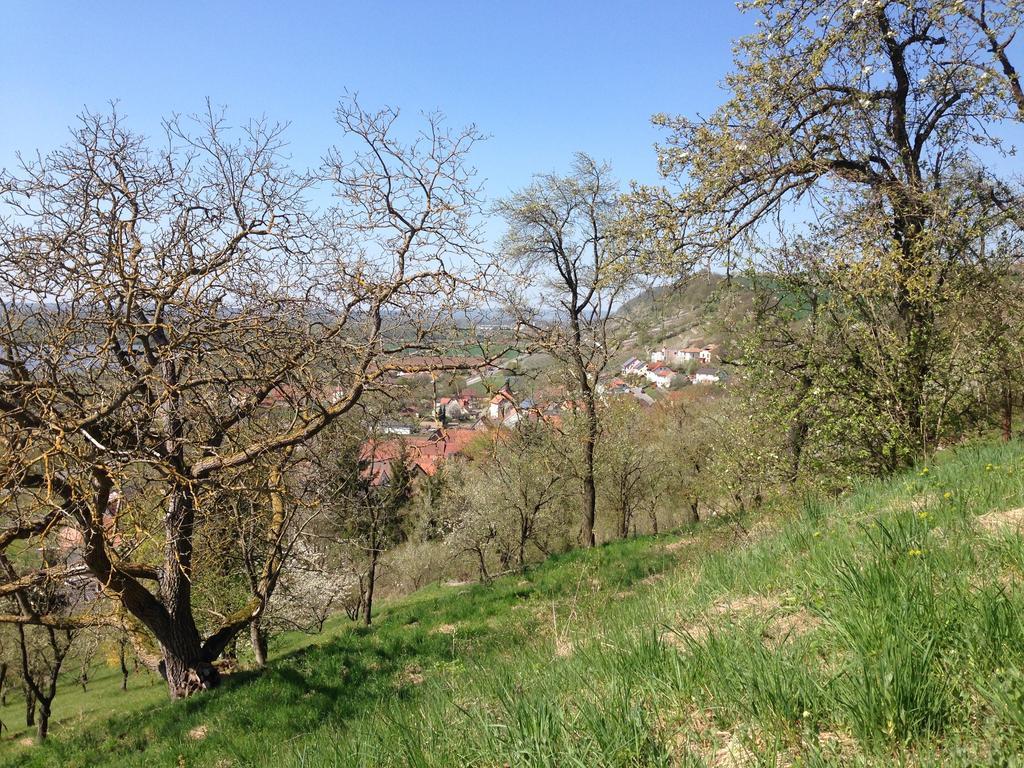 Alte Rose Gasthaus Hotel Ebelsbach ห้อง รูปภาพ